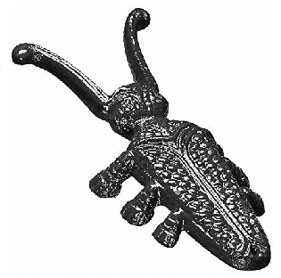 Ayakkabı çıkarıcı